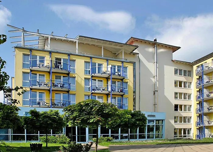 Ruegen Ifa, *